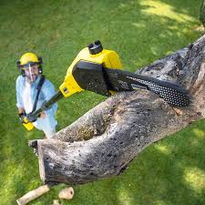 Best Seasonal Cleanup (Spring/Fall)  in Scotchtown, NY